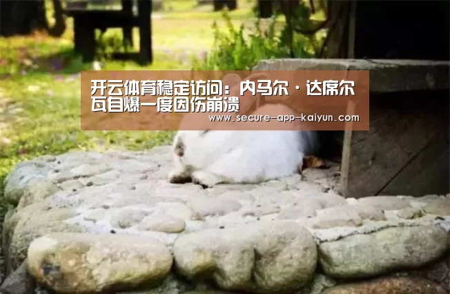 开云体育稳定访问:内马尔·达席尔瓦自爆一度因伤崩溃(图2) KAIYUN SPORTS