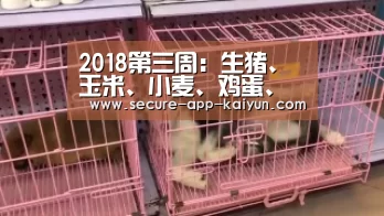 开云体育官方入口