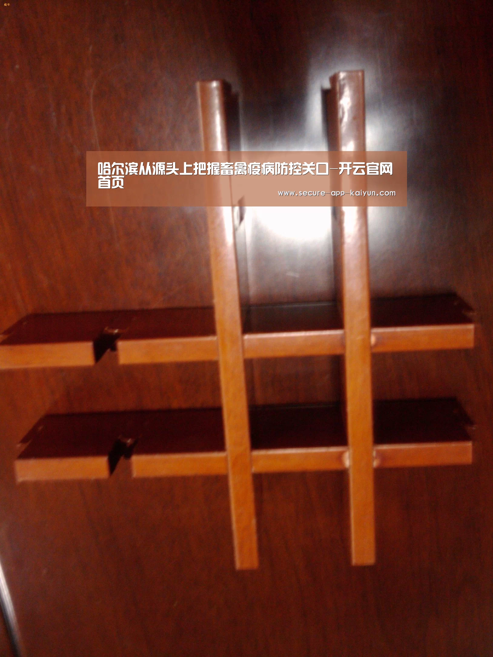 哈尔滨从源头上把握畜禽疫病防控关口-开云官网首页(图2) 开云体育稳定访问