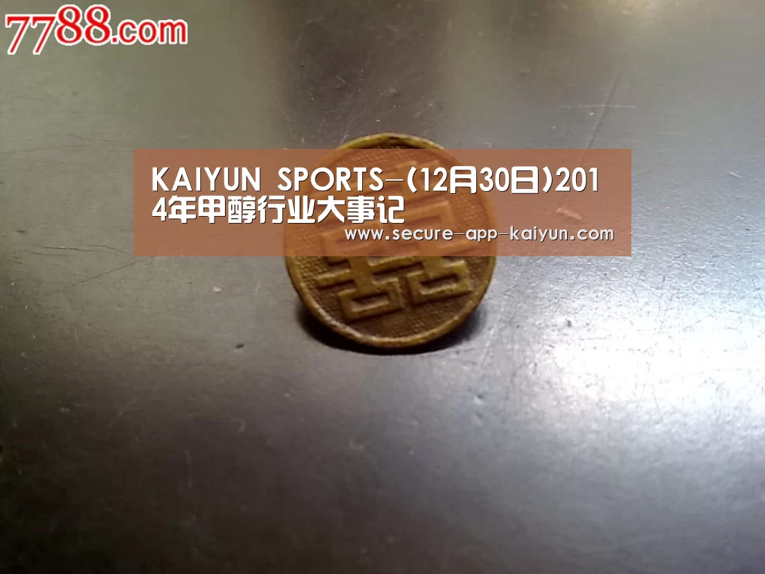 开云体育稳定访问