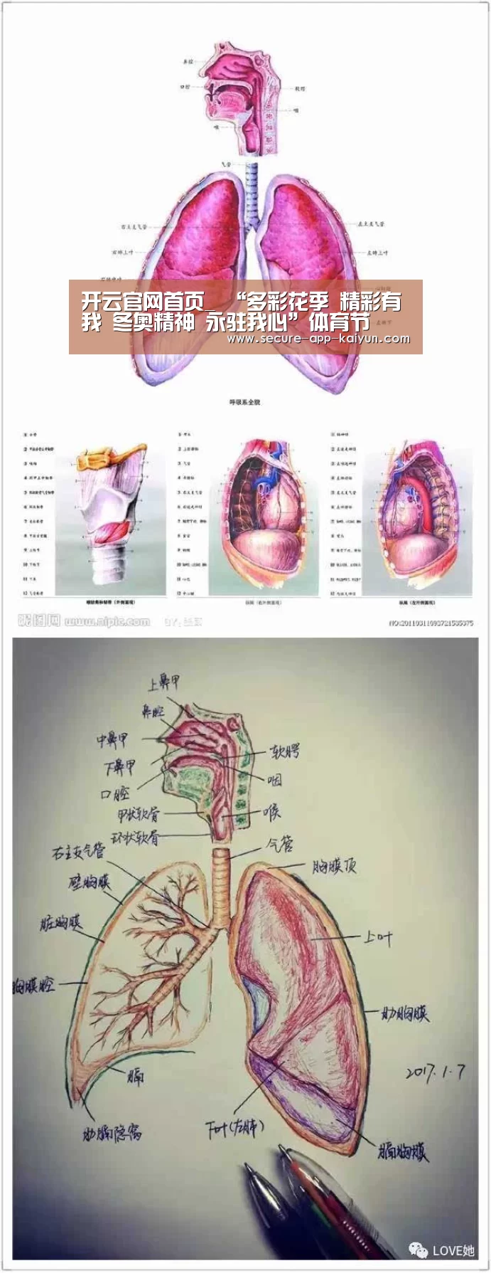 开云官网首页_
“多彩花季 精彩有我 冬奥精神 永驻我心”体育节(图5) 开云体育稳定访问