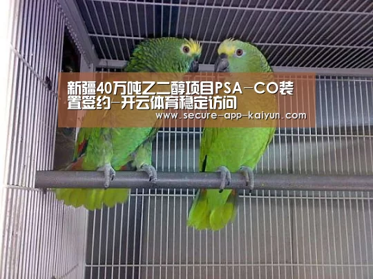 新疆40万吨乙二醇项目PSA-CO装置签约-开云体育稳定访问(图1) 开云官网首页