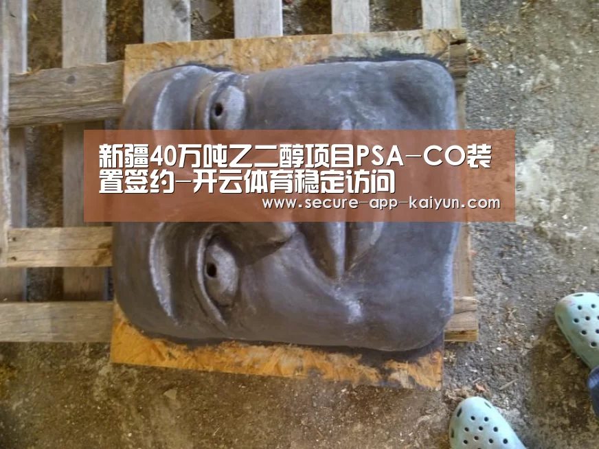 新疆40万吨乙二醇项目PSA-CO装置签约-开云体育稳定访问(图2) 开云体育稳定访问