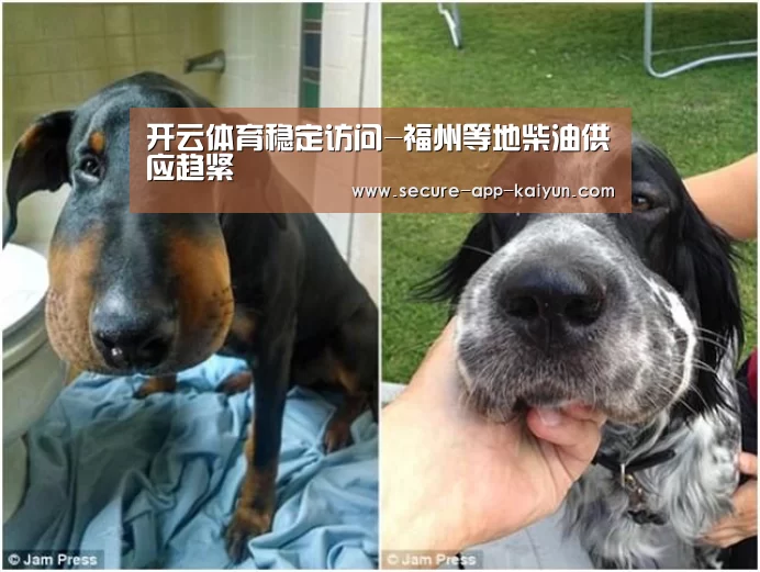 开云体育稳定访问-福州等地柴油供应趋紧(图1) 开云官网首页