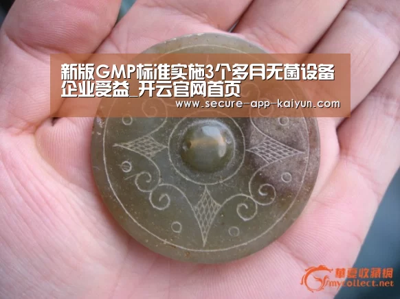 新版GMP标准实施3个多月无菌设备企业受益_开云官网首页(图1) 开云官网首页