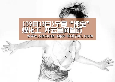 (09月13日)宁夏“押宝”煤化工_开云官网首页(图1) 开云体育稳定访问